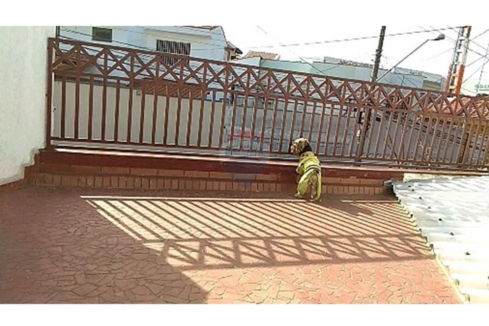 Casa - Venda - São Paulo , São Paulo - 1530535614643.jpg - 602061002-55