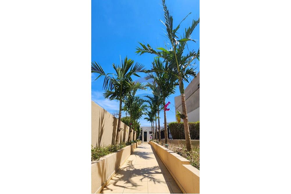 Apartamento - Alugar - São Paulo , São Paulo - 20250930_123956 - Editado.jpg - 602141019-33