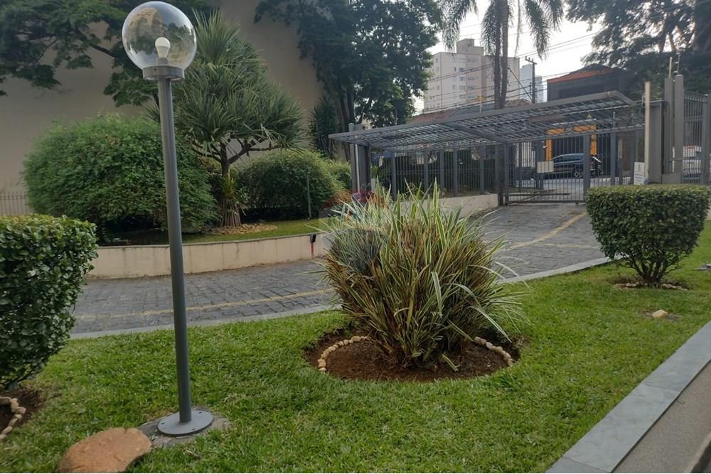 Apartamento - Venda - São Paulo , São Paulo - IMG-20250522-WA0152.jpg - 602291041-1