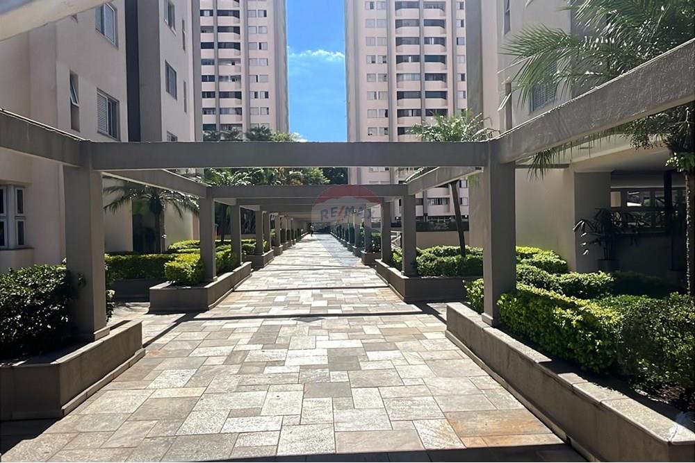 Apartamento - Alugar - São Paulo , São Paulo - IMG-20250217-WA0092.jpg - 602331019-86