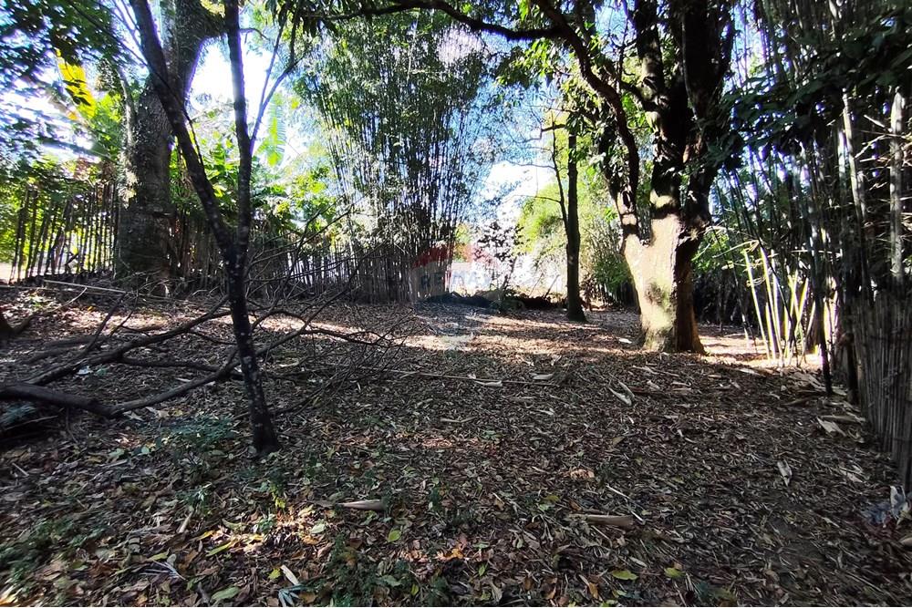 Terreno - Venda - Ferraz de Vasconcelos , São Paulo - IMG_20250918_150130.jpg - 601451005-109