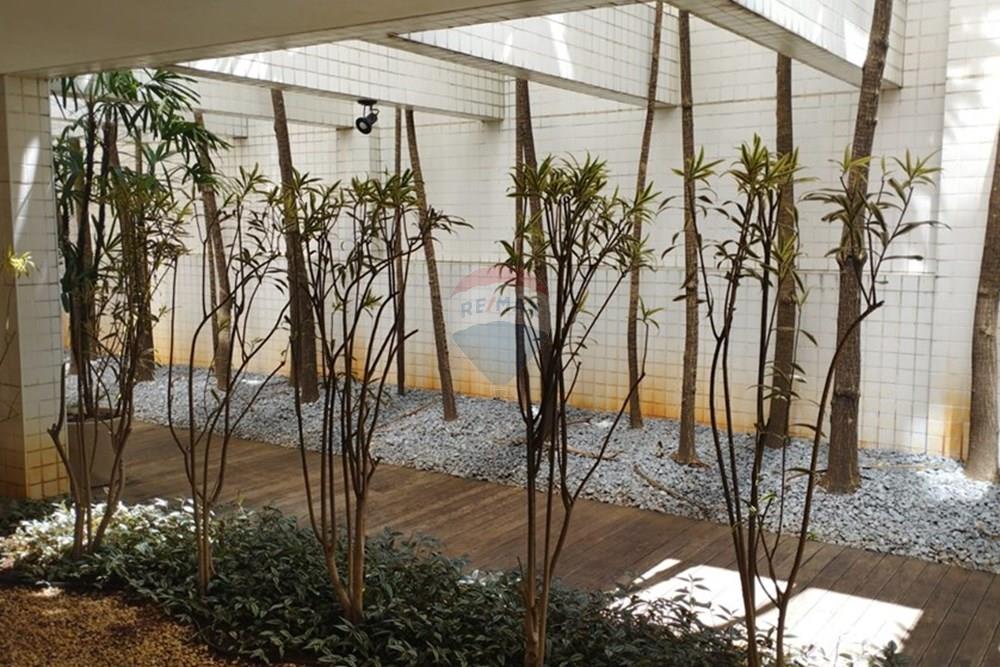 Apartamento - Alugar - São Paulo , São Paulo - WhatsApp Image 2026-01-15 at 14.28.18.jpeg - Jardim Externo - 602031023-22