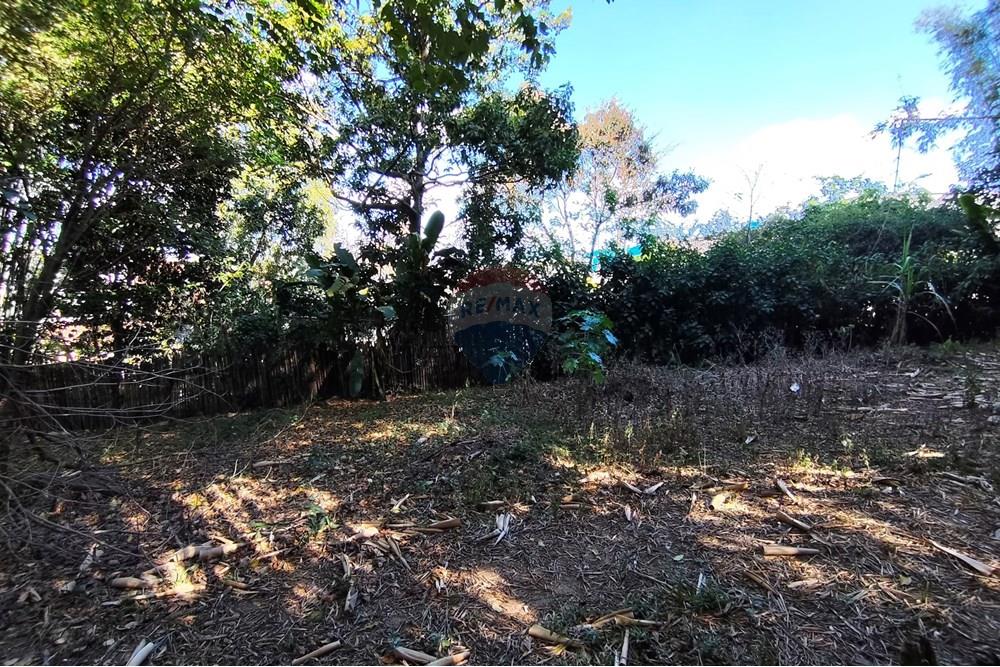 Terreno - Venda - Ferraz de Vasconcelos , São Paulo - IMG_20250918_150150.jpg - 601451005-109