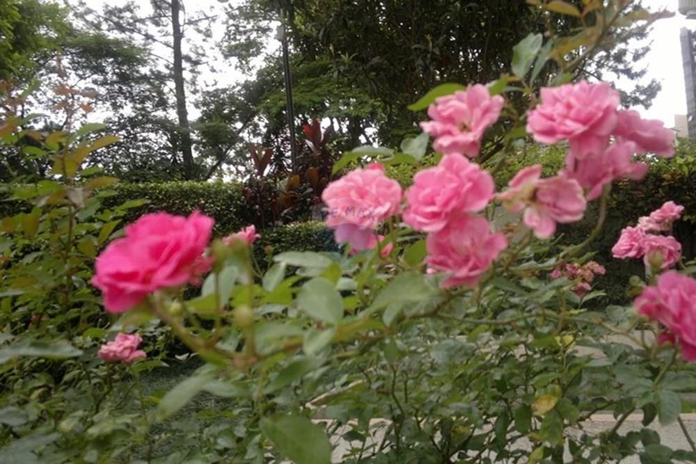 Apartamento - Alugar - São Paulo , São Paulo - d81934e5-16cb-4b0e-8503-9bb999ee3c2e.jpg - 601461002-82