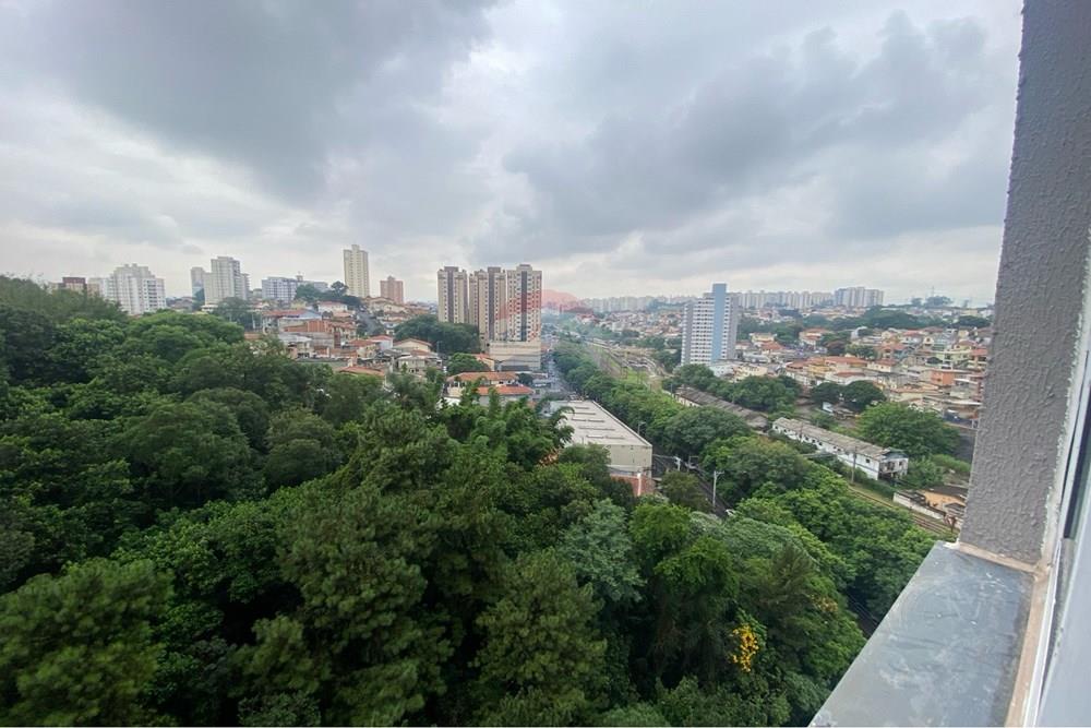 Apartamento - Alugar - São Paulo , São Paulo - IMG_6291.jpeg - Quarto - 602411005-53