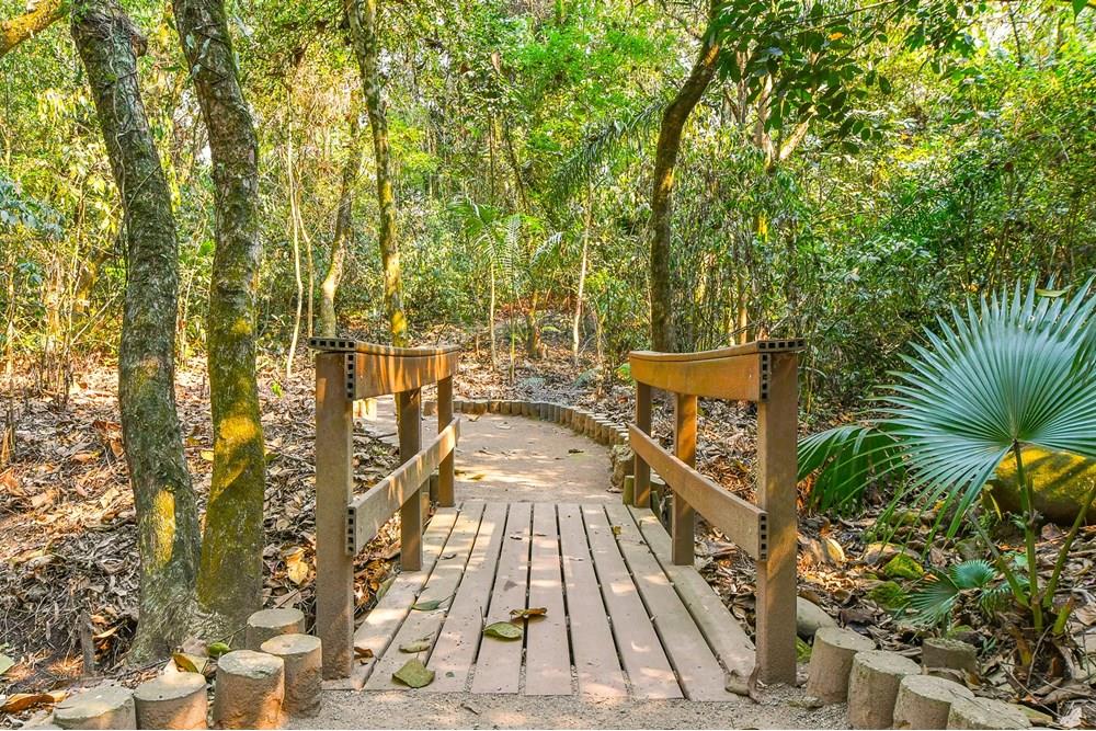 Cobertura - Venda - São Paulo , São Paulo - Foto-20.jpg - 601251016-70