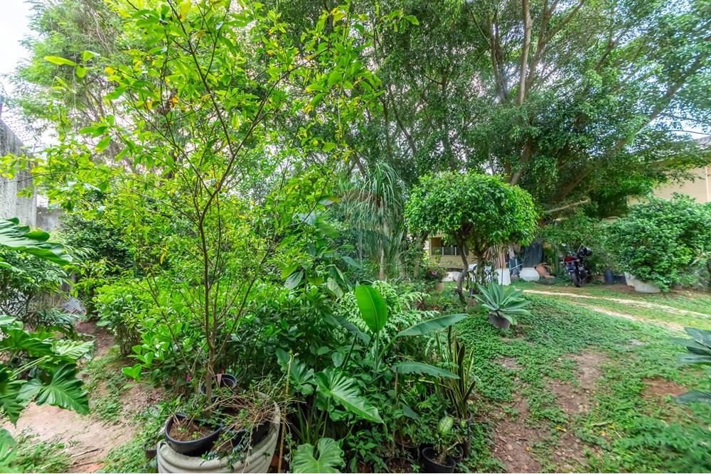 Terreno - Venda - São Paulo , São Paulo - IMG_962708.jpg - 601461011-91