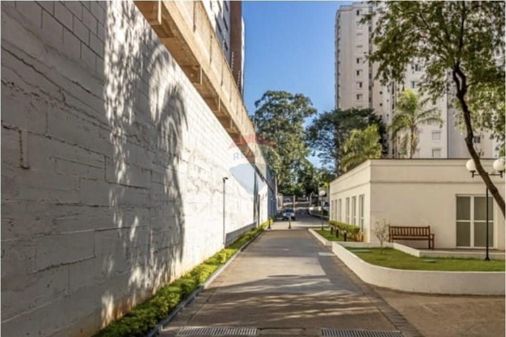 Apartamento - Venda - São Paulo , São Paulo - WhatsApp Image 2024-04-12 at 08.20.09 (1).jpeg - 602411012-16