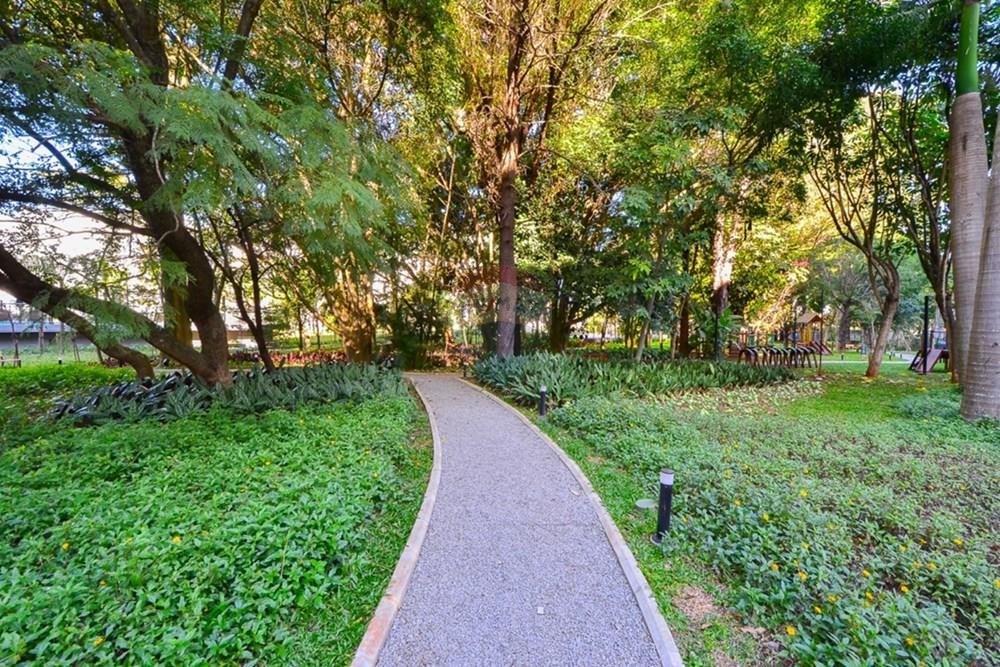 Apartamento - Alugar - São Paulo , São Paulo - 056-25078dfb-8fb4-4e9f-aa06-426768aa71b0.jpeg - 601131075-23