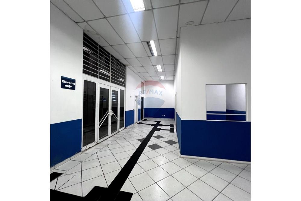 Prédio - Alugar - São Paulo , São Paulo - IMG_3305.jpg - 601261095-6