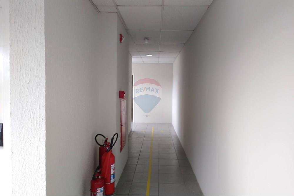 Prédio - Alugar - São Paulo , São Paulo - IMG_20230116_141855107.jpg - 602241023-13