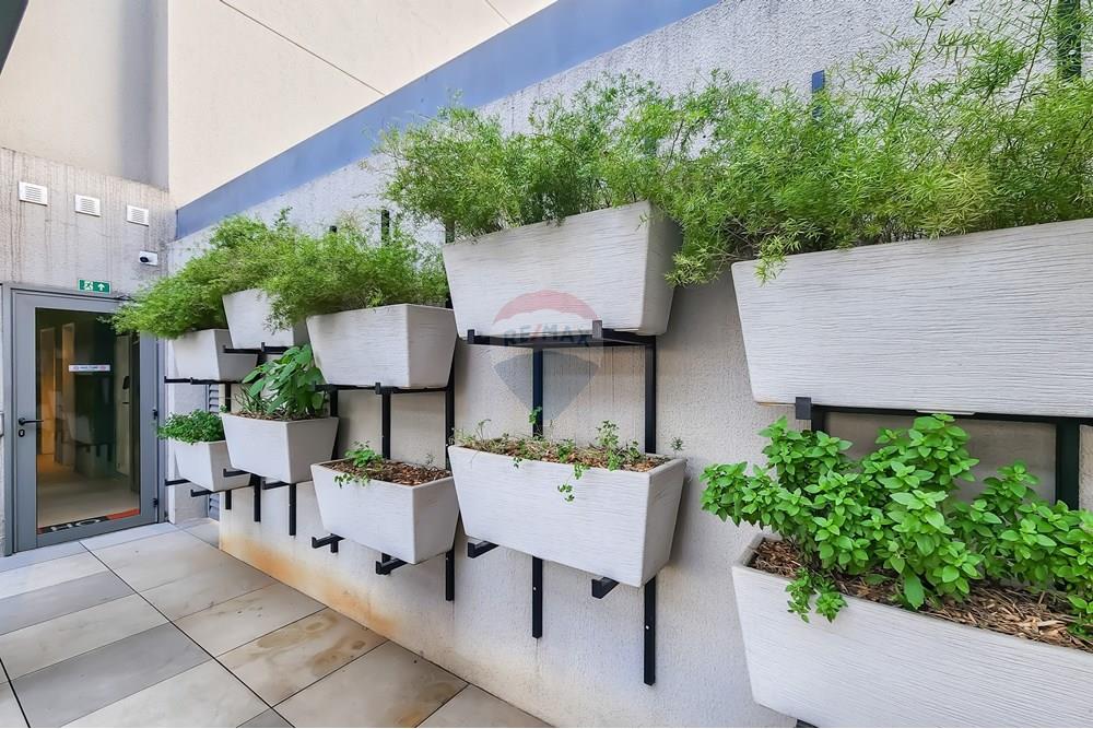 Apartamento - Venda - São Paulo , São Paulo - 20250717_09571018.jpg - 630331102-5