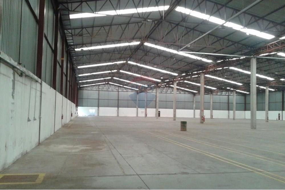 Galpão - Alugar - Barueri , São Paulo - 3.jpg - 602291021-236