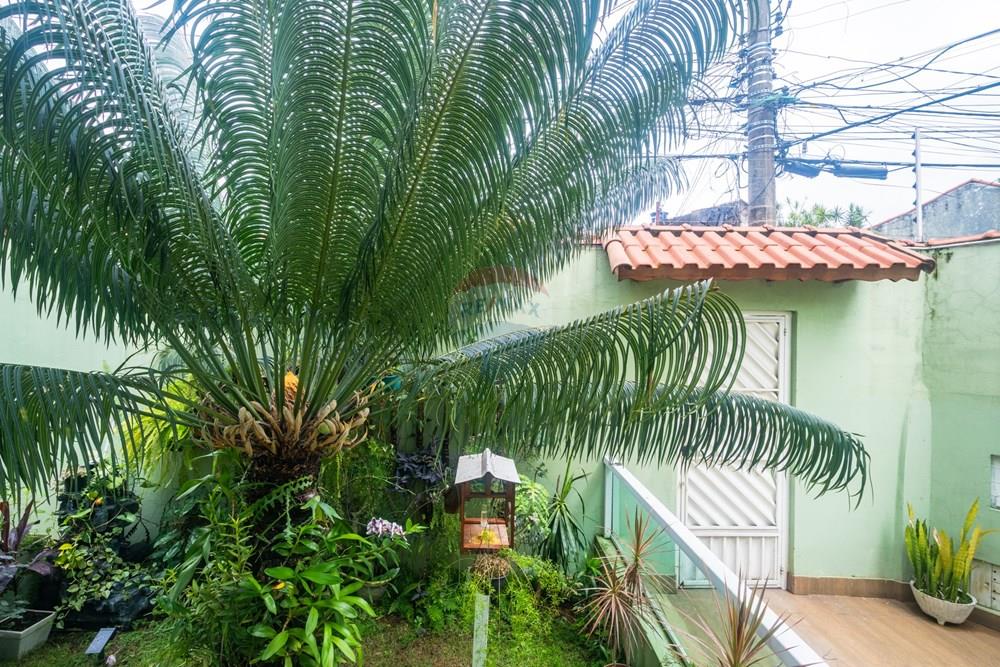 Sobrado - Venda - São Paulo , São Paulo - CS-15.jpg - 601471004-447