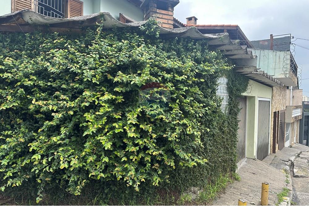 Sobrado - Venda - São Paulo , São Paulo - IMG_6551.jpeg - 601311076-3