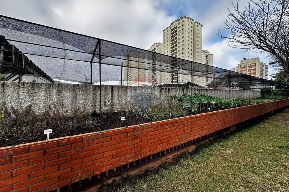 Apartamento - Venda - São Paulo , São Paulo - IMG_7162.jpg - 602331017-81