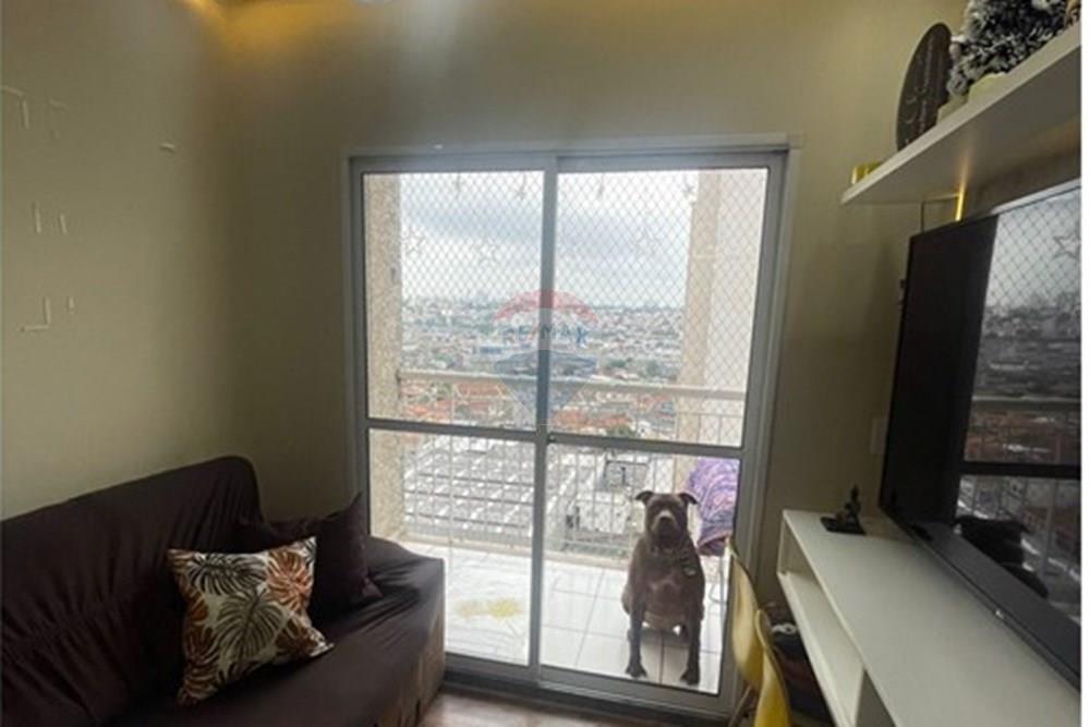 Apartamento - Venda - São Paulo , São Paulo - WhatsApp Image 2025-12-04 at 17.10.33.jpeg - 602061001-182