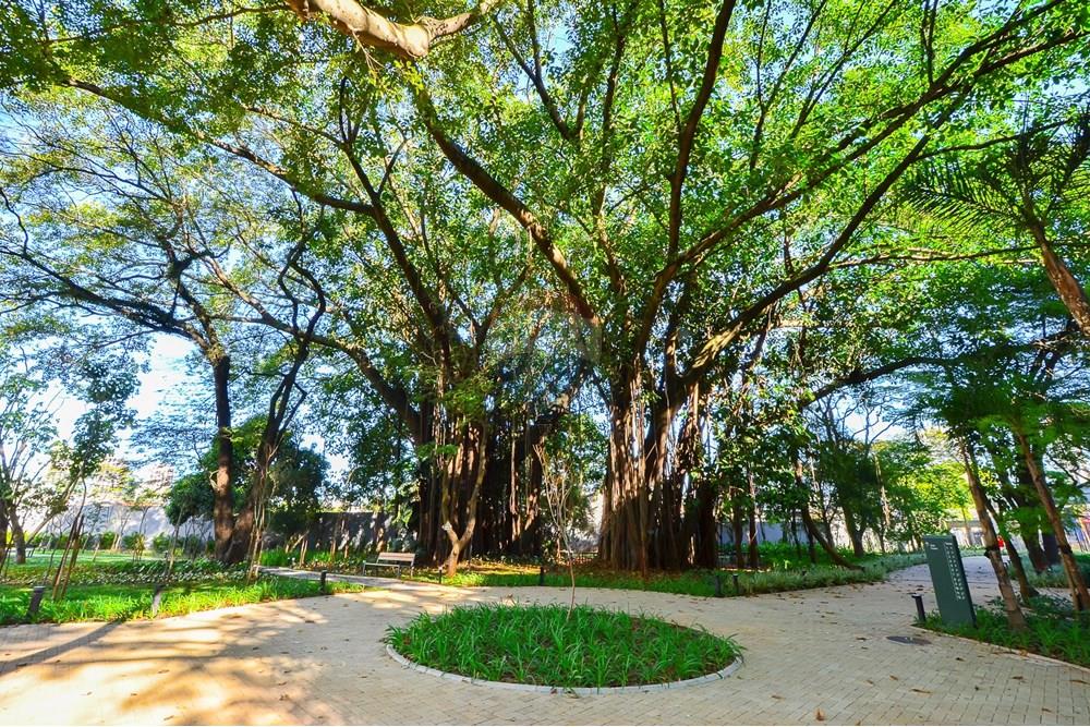 Apartamento - Venda - São Paulo , São Paulo - Remax-60.jpg - Layout aberto - 601131075-12