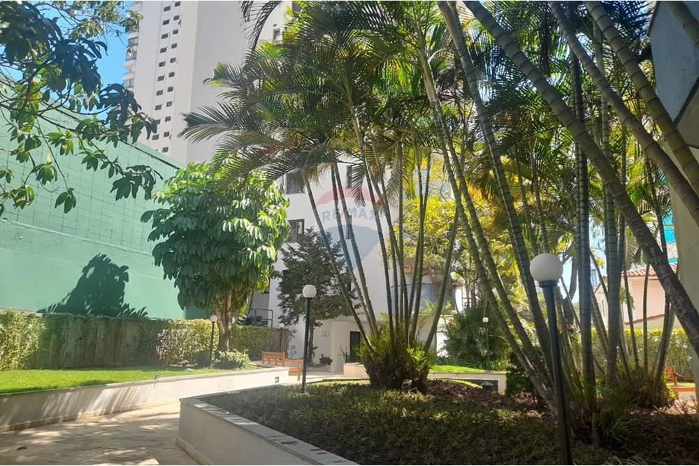 Apartamento - Alugar - São Paulo , São Paulo - IMG-20251112-WA0083.jpg - 601361052-113