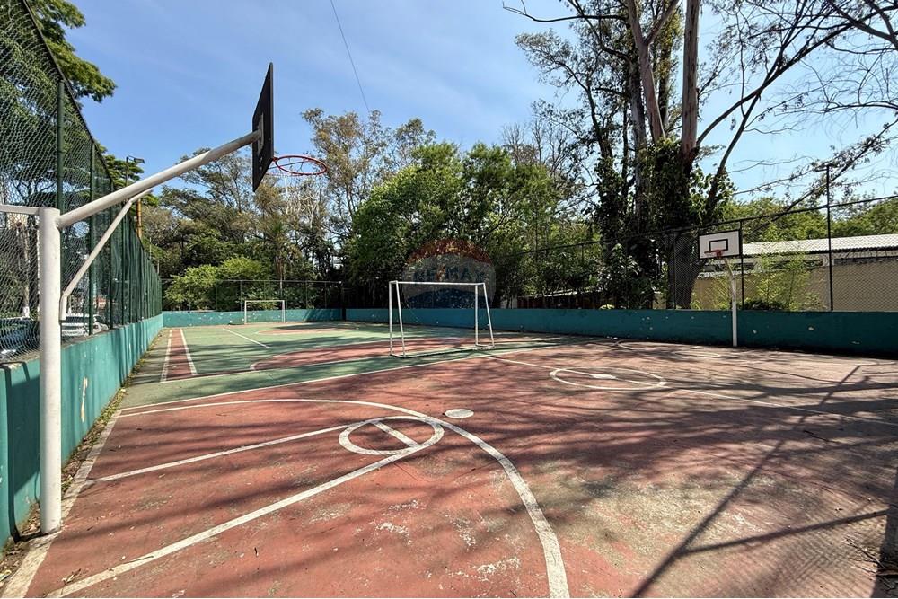 Apartamento - Venda - São Paulo , São Paulo - IMG_5875.jpg - 602331019-85