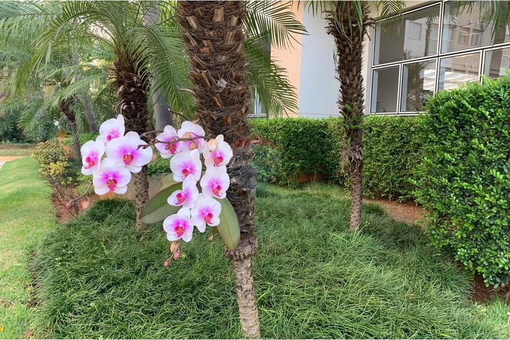 Apartamento - Alugar - São Paulo , São Paulo - WhatsApp Image 2025-11-09 at 13.11.48 (1).jpeg - 601261091-16