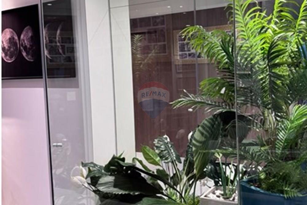 Apartamento - Alugar - São Paulo , São Paulo - WhatsApp Image 2025-11-24 at 17.21.39.jpeg - 602341002-57