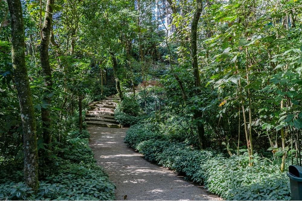 Apartamento - Venda - São Paulo , São Paulo - 1729822486294-01fotos_065.jpeg - 601251016-103