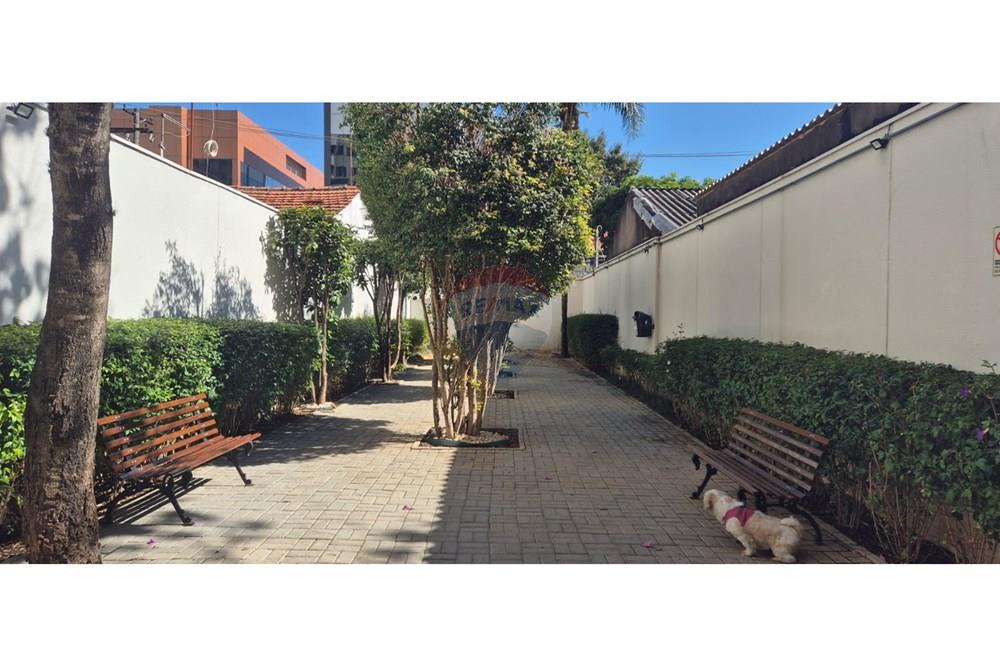 Apartamento - Alugar - São Paulo , São Paulo - WhatsApp Image 2024-08-05 at 11.36.04 (1).jpeg - 602321013-51