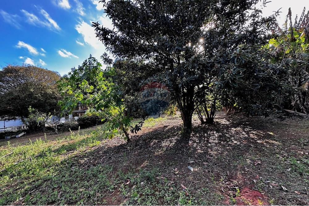 Casa - Venda - Cotia , São Paulo - IMG_8964.jpg - 602331010-36