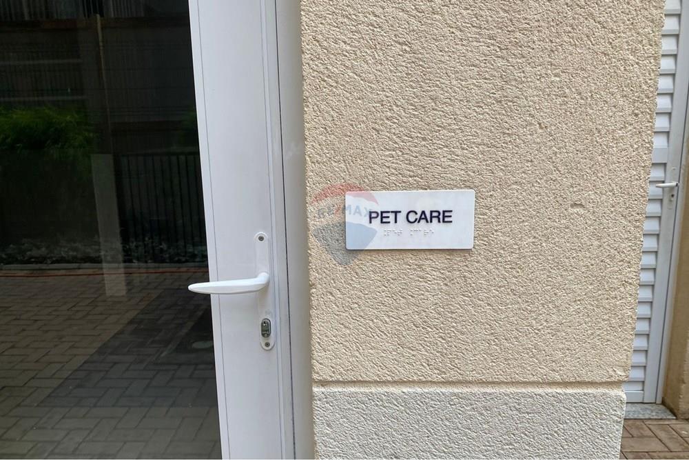 Apartamento - Alugar - São Paulo , São Paulo - WhatsApp Image 2026-01-26 at 13.33.35.jpeg - 602061008-151