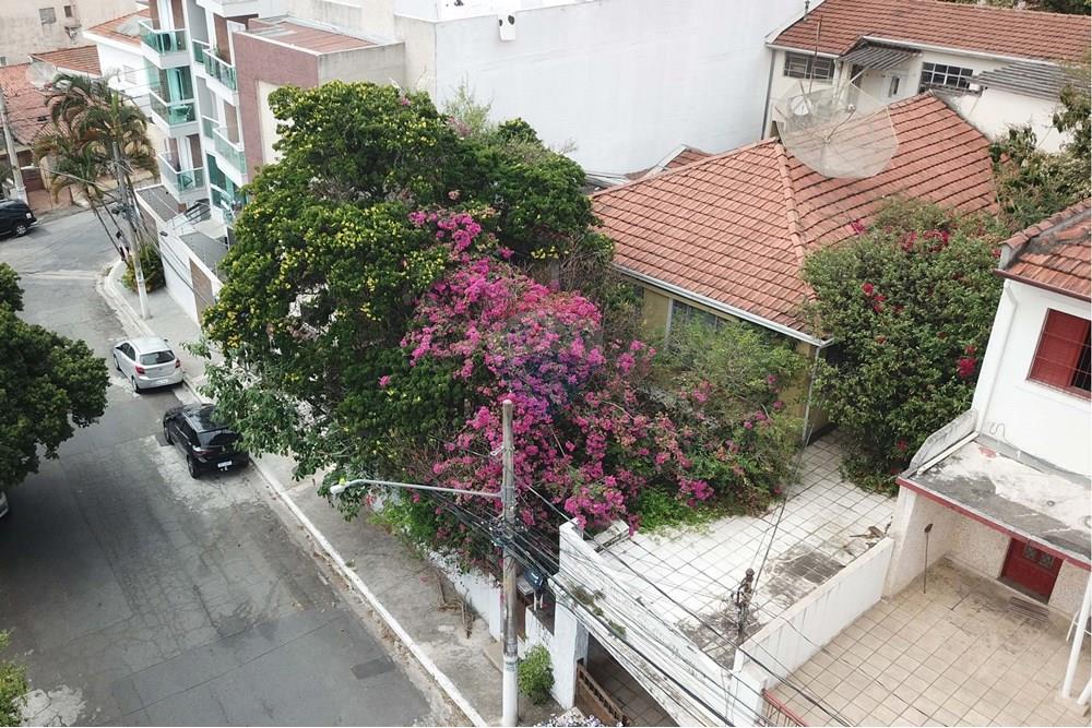 Elamine - Kinnistu - Sao Paulo , Sao Paulo - BR - Frente aerea.jpg - 601051041-20