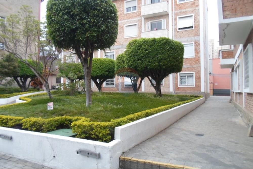 Apartamento - Alugar - São Paulo , São Paulo - SAM_9608.JPG - 601361021-1753