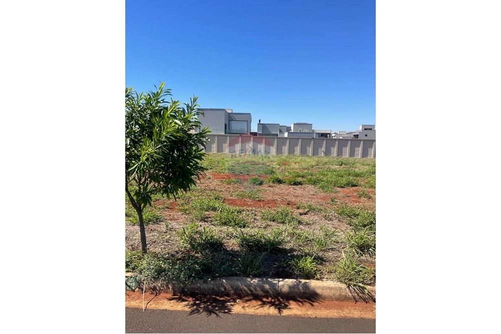 Terreno - Venda - Ribeirão Preto , São Paulo - lote_terreno_comercial_a_venda_condominio_real_sul_ribeirao_preto (2).jpg - 601251261-39