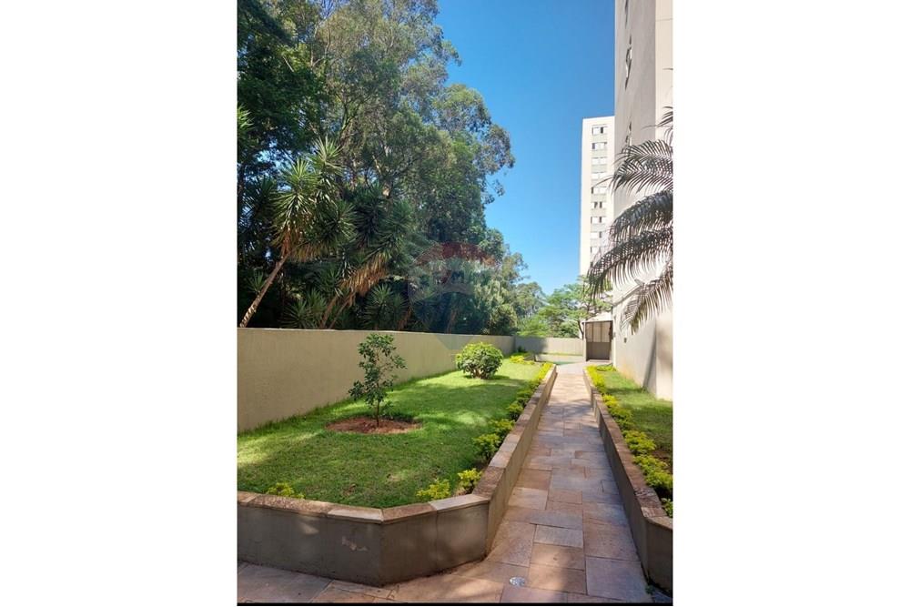 Apartamento - Venda - São Paulo , São Paulo - Screenshot_20220111-210141_WhatsApp.jpg - 602381002-74