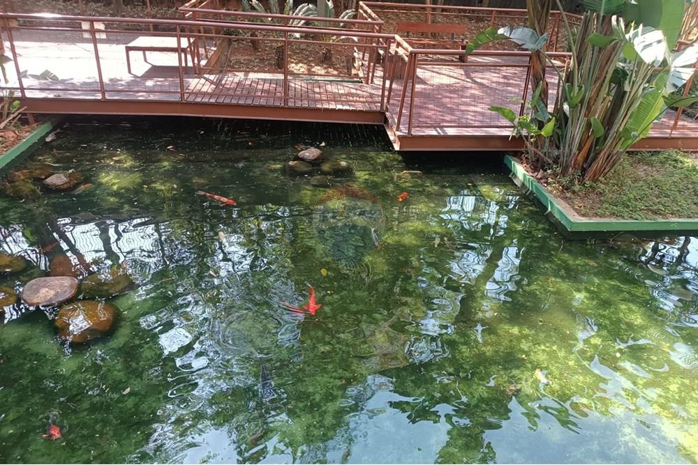 Cj. Comercial/ Sala - Venda - São Paulo , São Paulo - lago.jpeg - Jardim Externo - 601311038-18