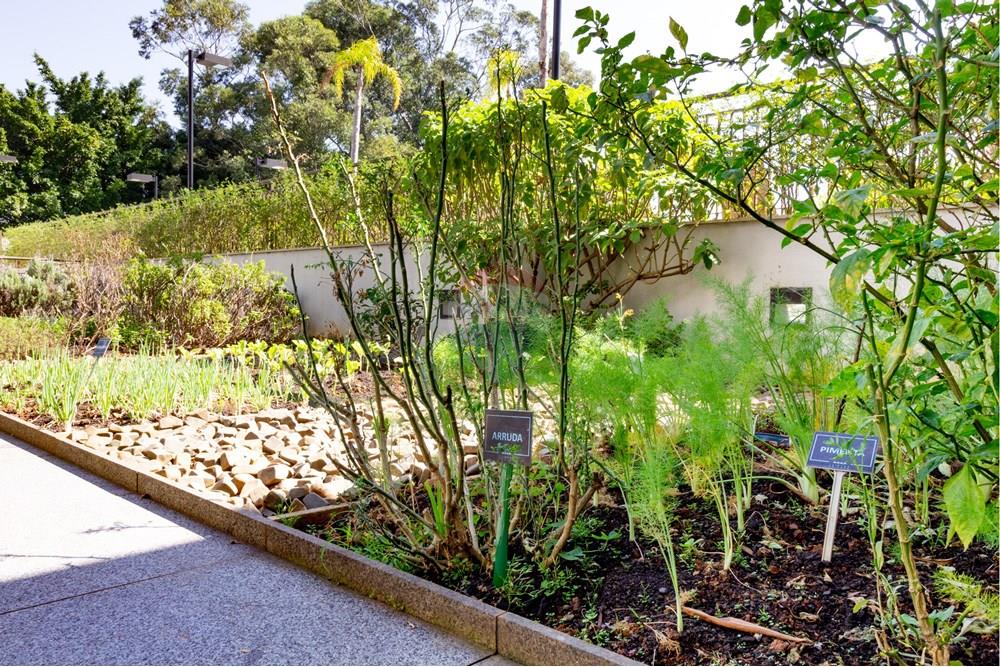 Apartamento - Venda - São Paulo , São Paulo - Cópia de 29 ESPAÇO HORTA (2).jpg - 601261021-448