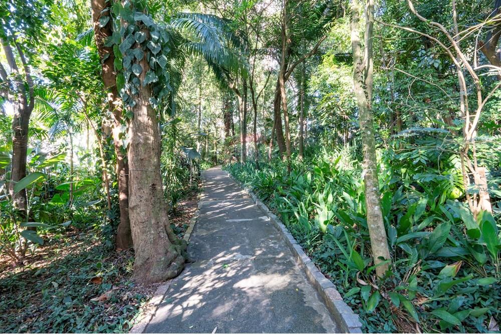 Apartamento - Venda - São Paulo , São Paulo - 01fotos_037.jpg - 601251043-80