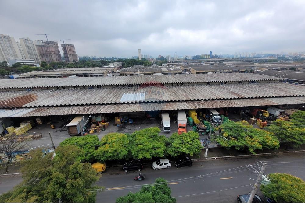 Apartamento - Alugar - São Paulo , São Paulo - 20251030_152901 (1).jpg - 602411009-8