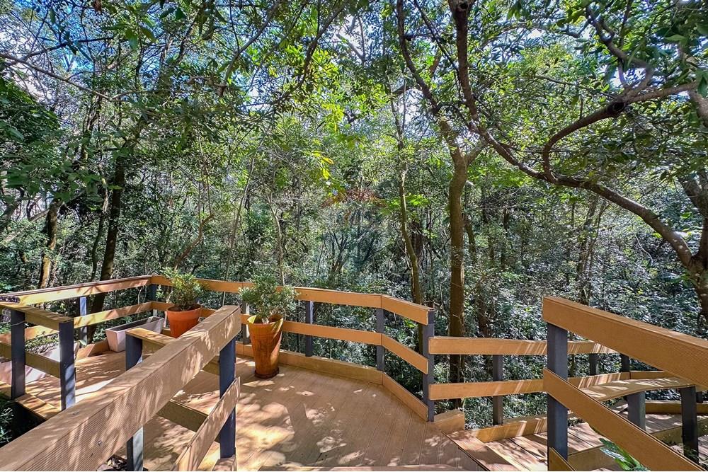 Cobertura - Venda - São Paulo , São Paulo - IMG_914339.jpg - 602071001-285