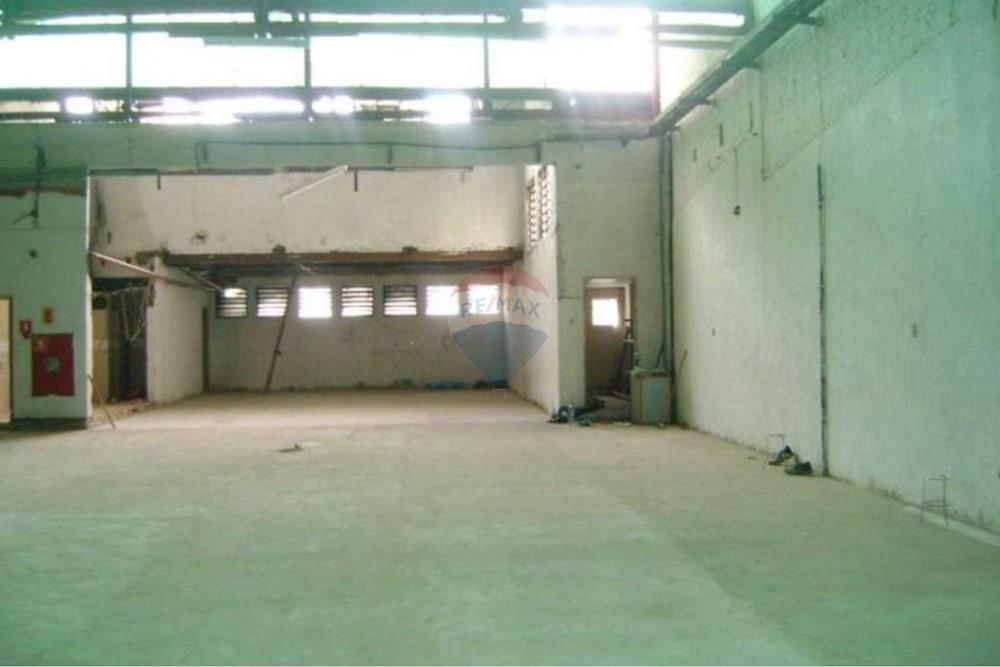 Galpão - Alugar - São Paulo , São Paulo - 2.jpg - 602291021-292