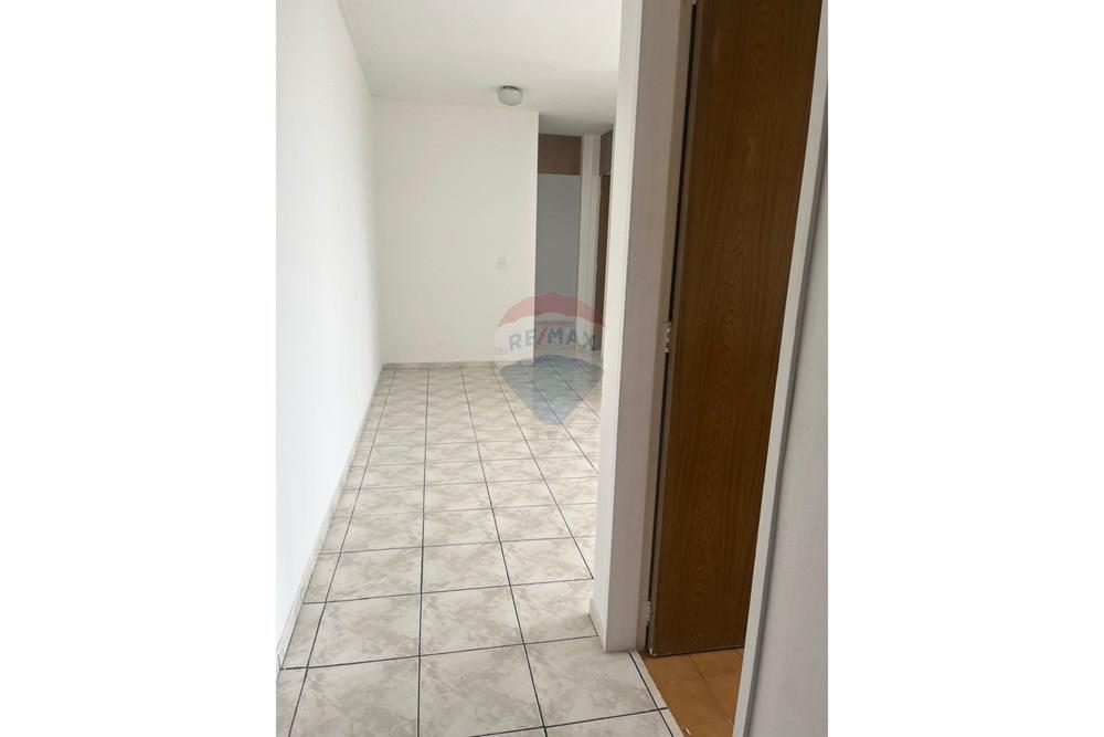 Apartamento - Alugar - São Paulo , São Paulo - WhatsApp Image 2026-03-05 at 12.53.39 (1).jpeg - 602251013-55