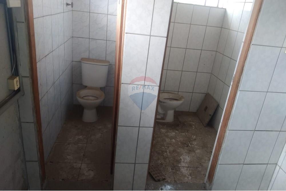 Galpão - Alugar - São Paulo , São Paulo - 1e5a3f8d-10b8-4861-91d8-77e82cfe75a9.jpeg - 601141061-83