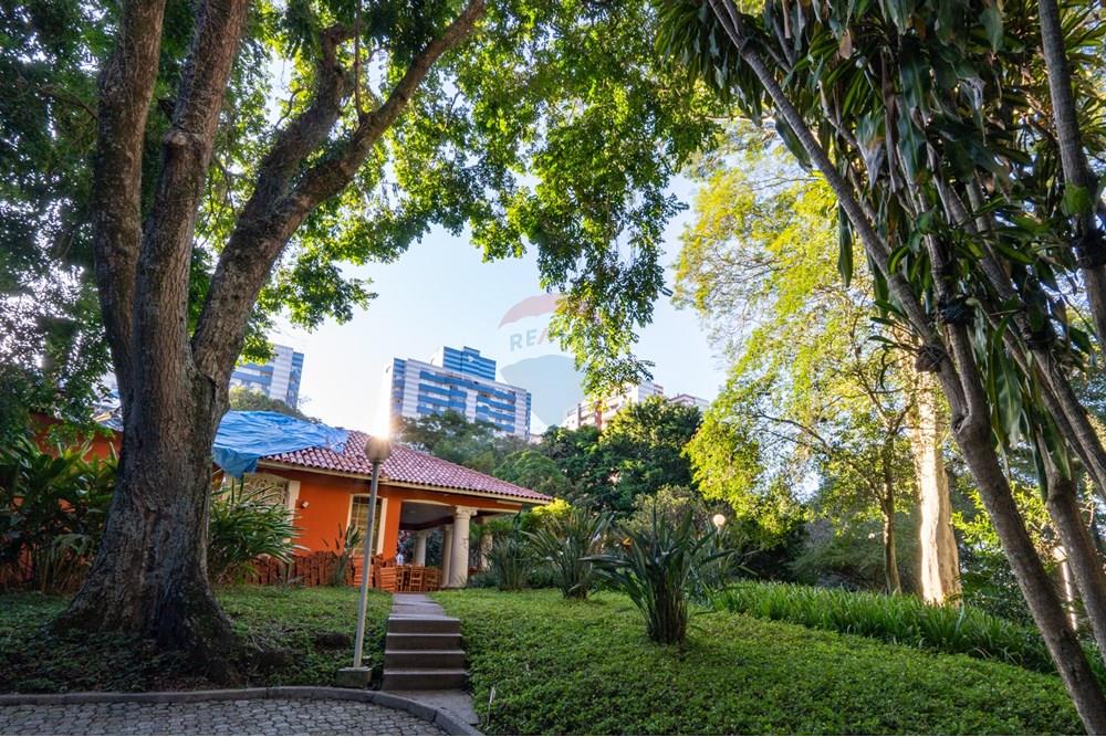 Apartamento - Venda - São Paulo , São Paulo - DSC04276.jpg - 601251016-89