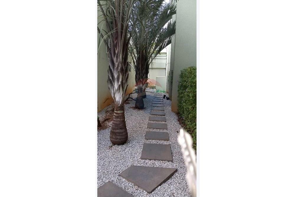 Apartamento - Alugar - São Paulo , São Paulo - WhatsApp Image 2025-12-03 at 11.37.24.jpeg - 601451035-17