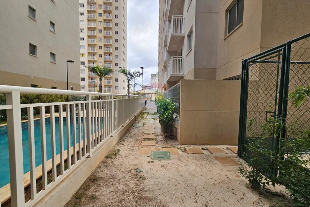 Apartamento - Alugar - São Paulo , São Paulo - 20251204_164314.jpg - 601471003-203