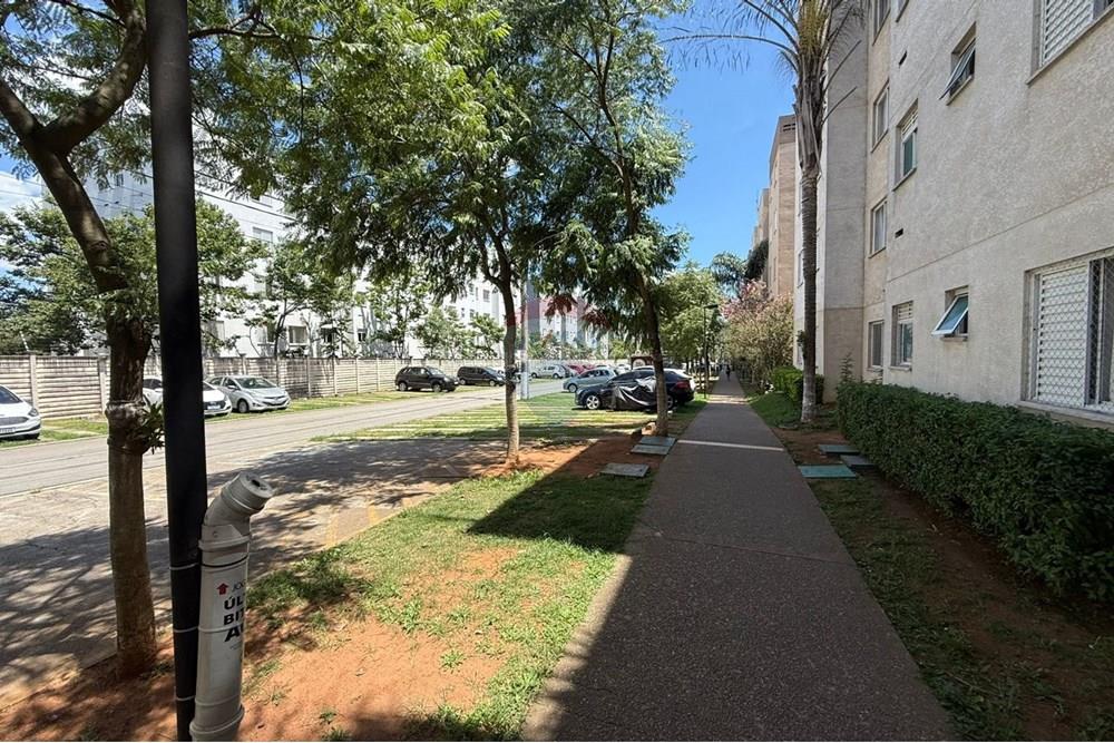 Apartamento - Alugar - São Paulo , São Paulo - WhatsApp Image 2025-12-24 at 11.57.12 (1).jpeg - 601771097-137