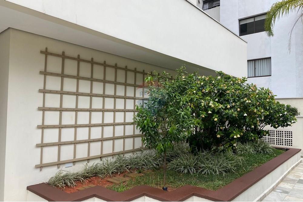 Apartamento - Alugar - São Paulo , São Paulo - WhatsApp Image 2025-12-02 at 09.33.08 (2).jpeg - 601261077-25