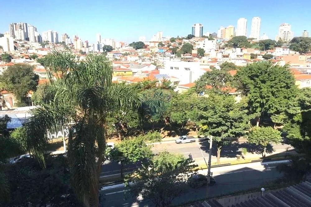 Apartamento - Alugar - São Paulo , São Paulo - 11.jpeg - 602291016-343