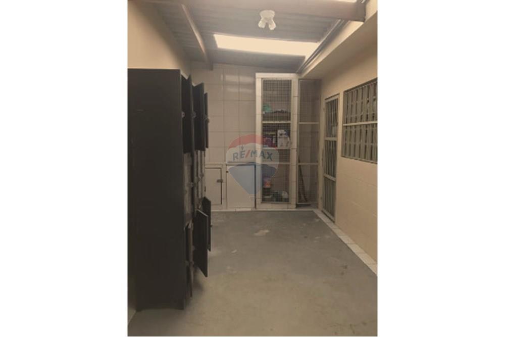 Casa Comercial - Alugar - São Paulo , São Paulo - 9747d8.jpg - 602361012-132