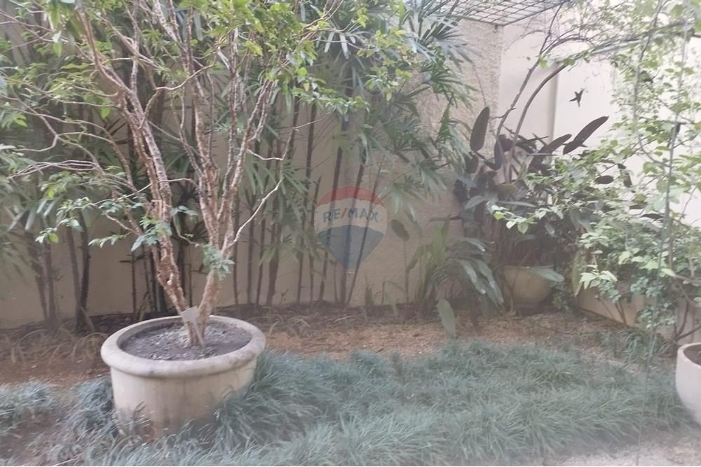 Cobertura - Alugar - São Paulo , São Paulo - IMG-20250819-WA0088.jpg - 601241003-185